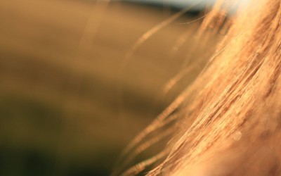 Růst vlasů | 6 nejčastějších chyb, které zpomalují růst vašich vlasů